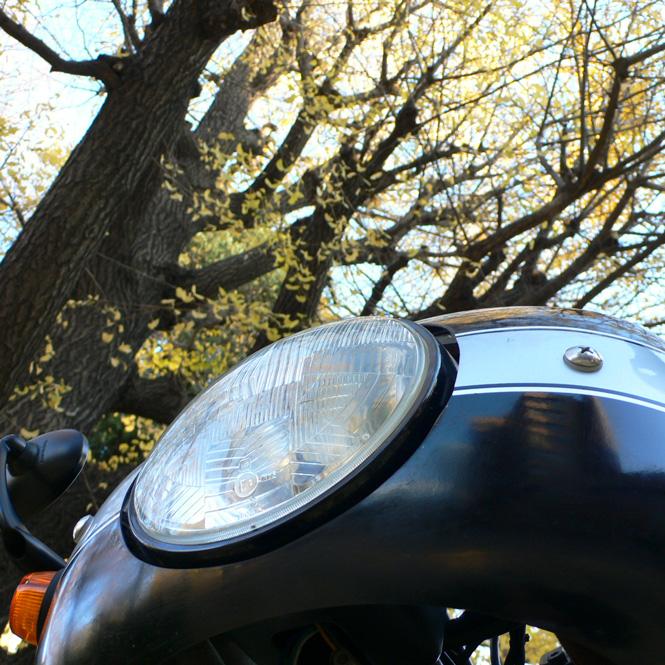 Photo3